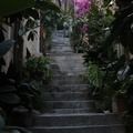 Dubrovnik - Escalier