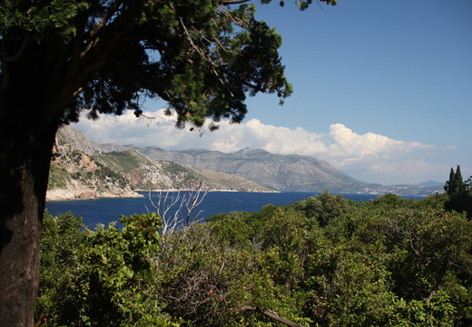 Vue sur la montagne depuis l'île de Lokrum (près de Dubrovnik)