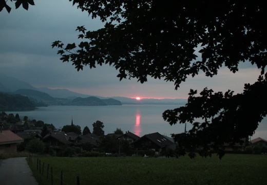 Coucher de soleil sur le lac de Thun vue des hauteurs de Leissigen (4)