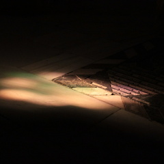 Cordoba / Cordoue - Lumière sur le sol de la cathédrale