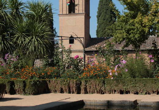 Granada / Grenade - Alhambra - Bassin des jardins du Monastère de San Francisco n°4
