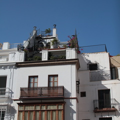 Sevilla / Séville - Terrasses n°2