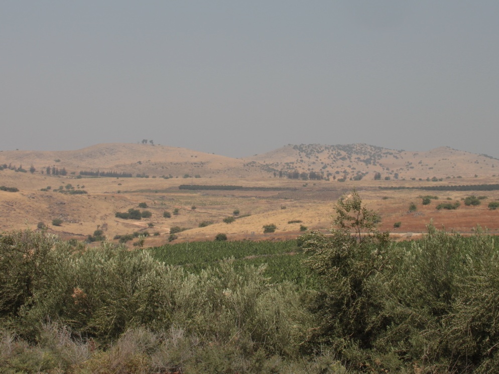 Galilée - Collines environnant le Mont des Béatitudes