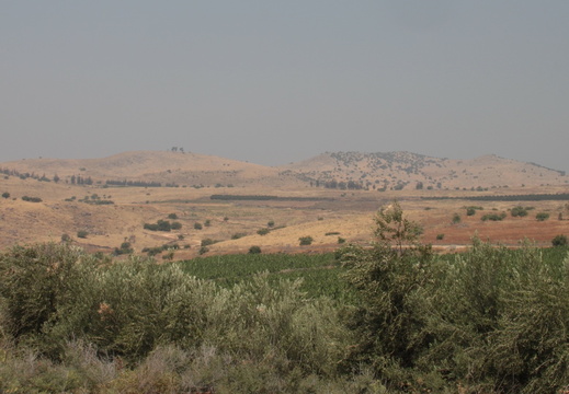 Galilée - Collines environnant le Mont des Béatitudes