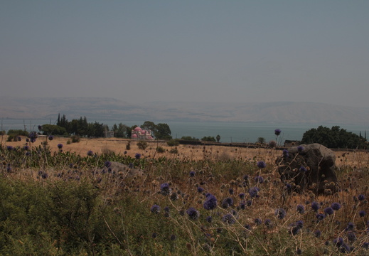 Galilée - Eglise Orthodoxe de Capernaüm