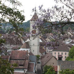 Schaffouse / Schaffhausen - Vue depuis la forteresse du Munot 1