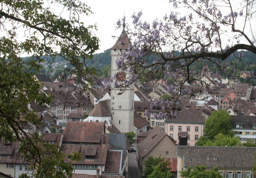 Schaffouse / Schaffhausen - Vue depuis la forteresse du Munot 1